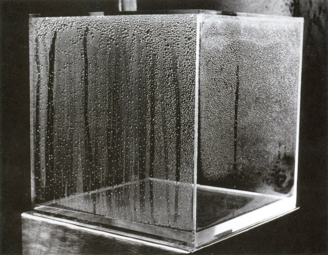 2-hans_haacke_condensation-cube_1965-2008